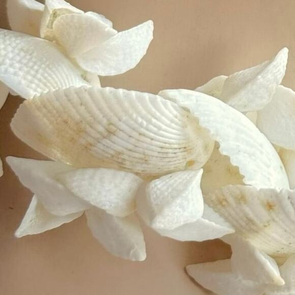 Vintage Cockle Scallop Hawaii Seashell Lei Natural 39” White Shell Necklace - Picture 6 of 10